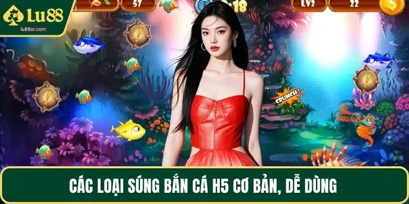 Các loại súng bắn cá H5 cơ bản, dễ dùng