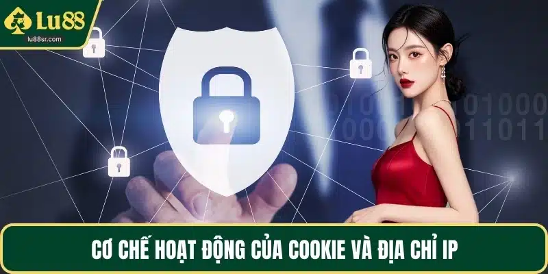 Cơ chế hoạt động của cookie và địa chỉ IP